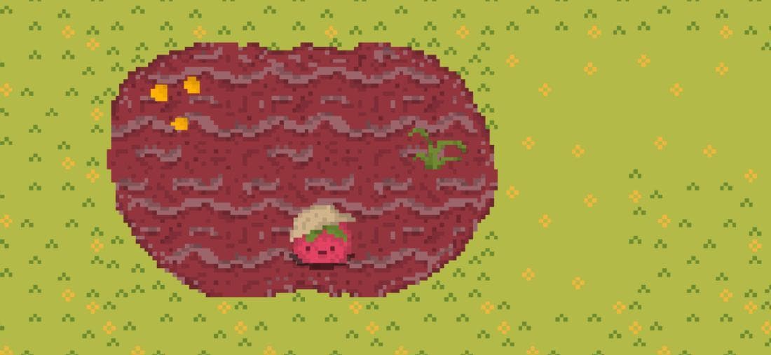 Tomatos Farm