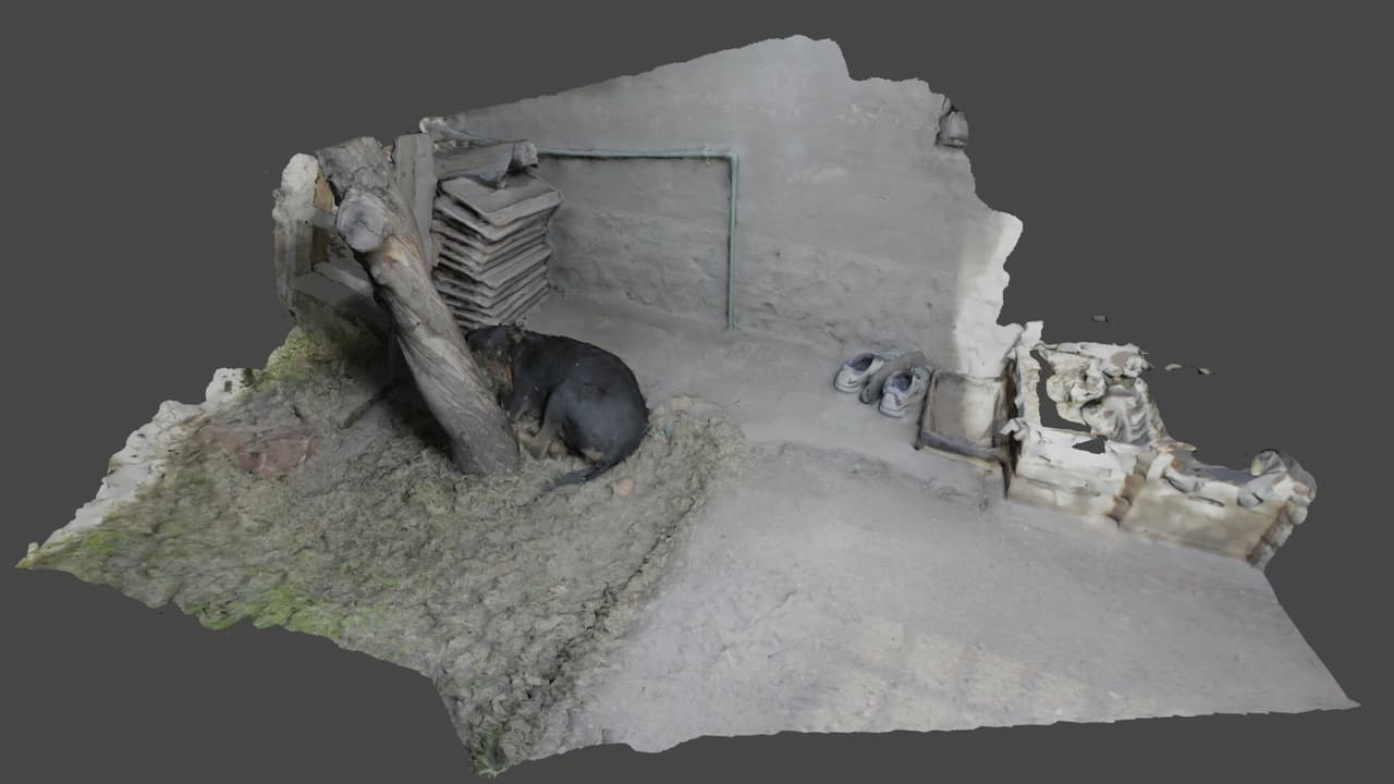 Fragmentos de una Construcción- CAMARONES