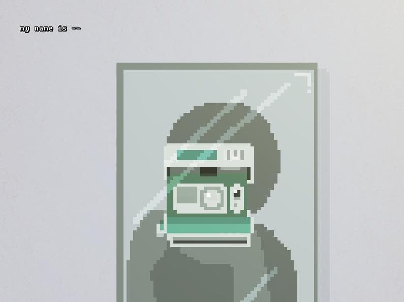 Parallel Camera