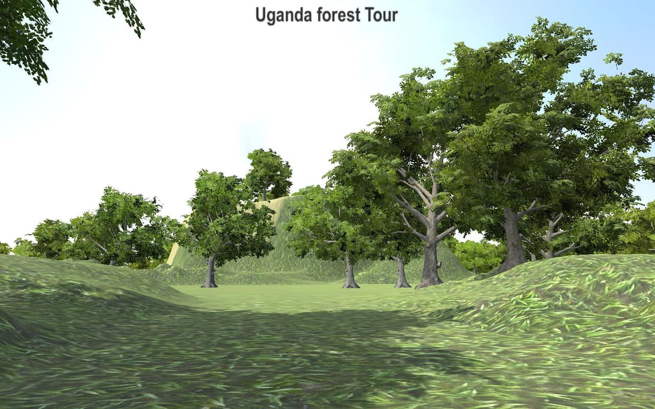Uganda Forest Tour