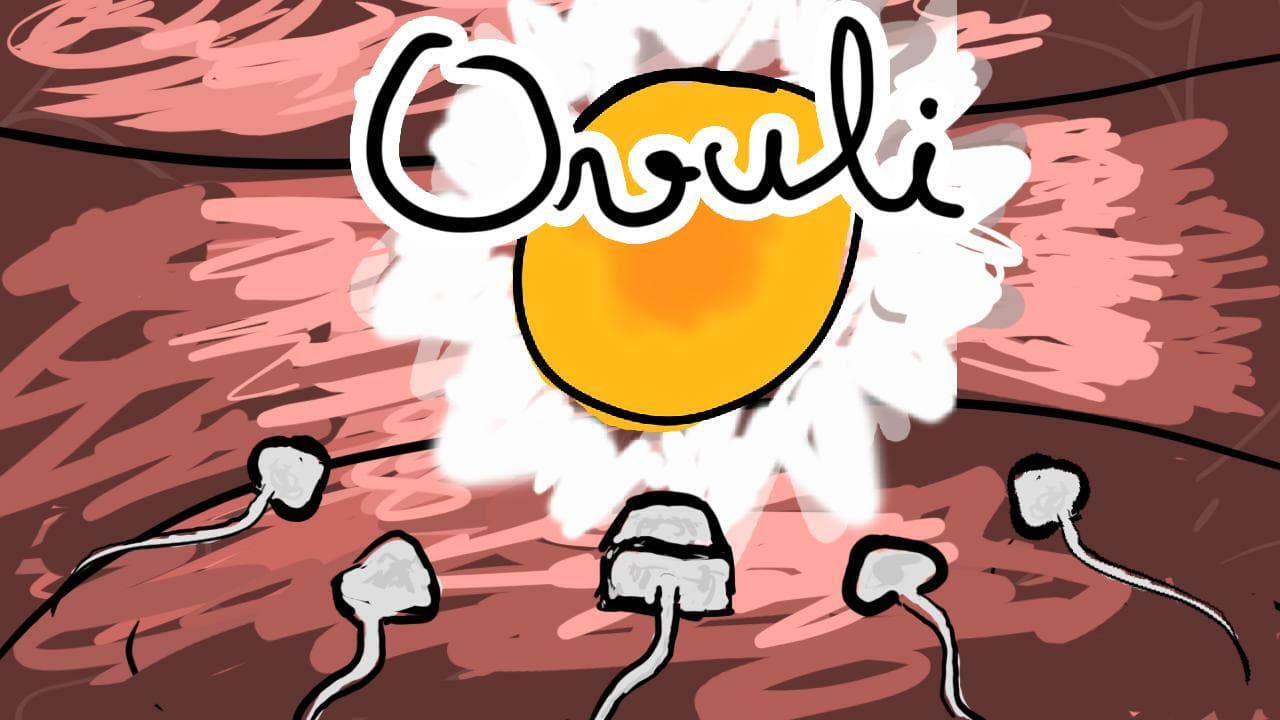 Ovuli