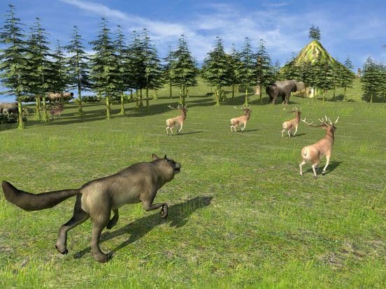 Forest Wild Life Simulator 3D