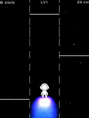 INTERSTELLAR FLIGHT