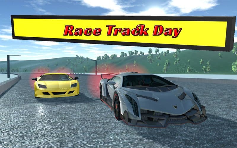 Race Track Day screenshot 2