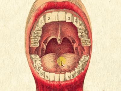 Sublingual