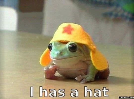 Catcher in the rye
