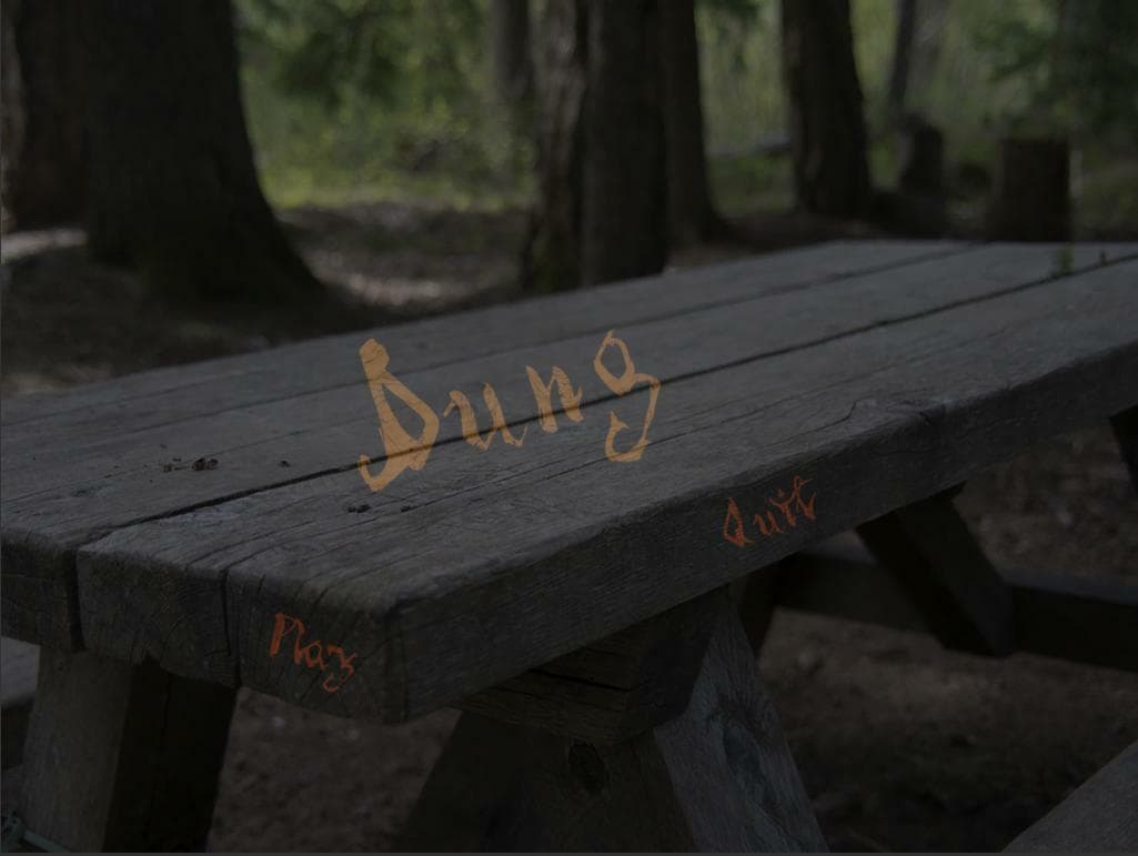 Dung