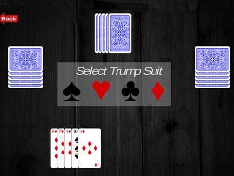 Rung Card Game Court Piece screenshot 3