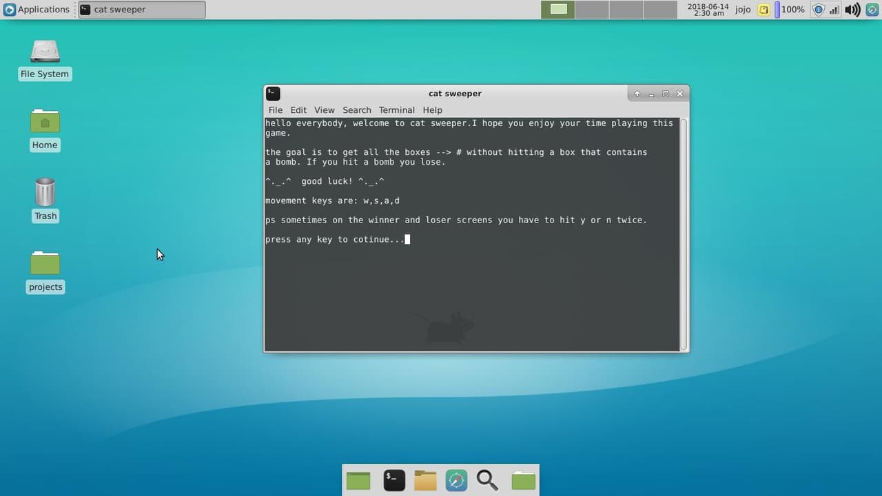 cat sweeper screenshot 3