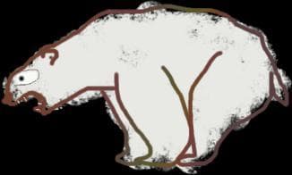 polar bear Facts