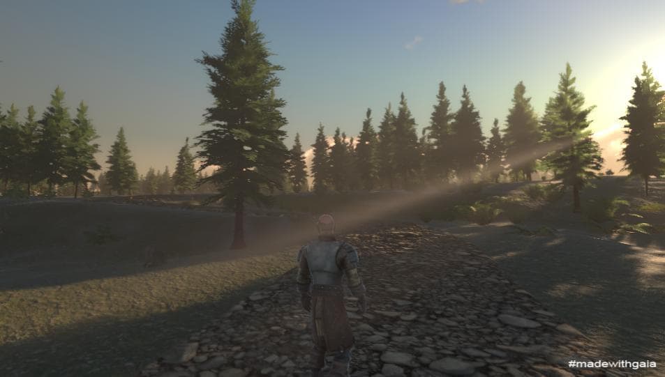 Foggy Forrest screenshot 5