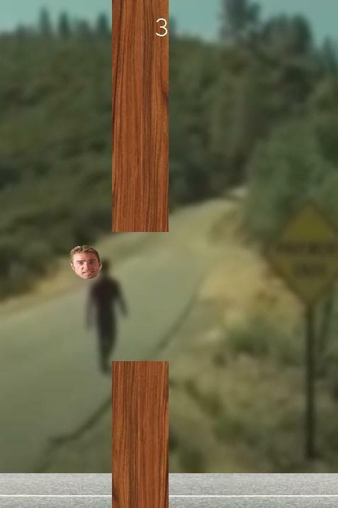 Gachi Bird (Ray Dostoewsky) screenshot 3