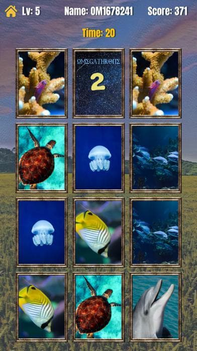 OmegaMatching screenshot 2