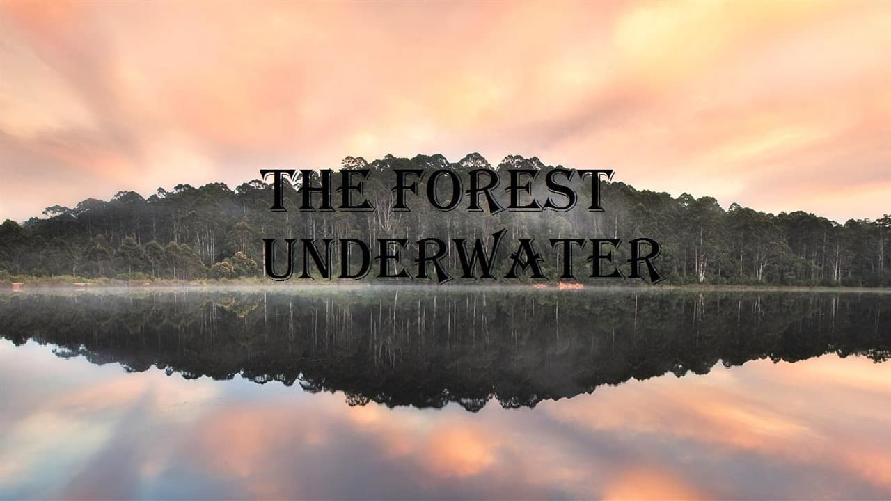 the forest underwater