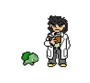Pokemon Battle