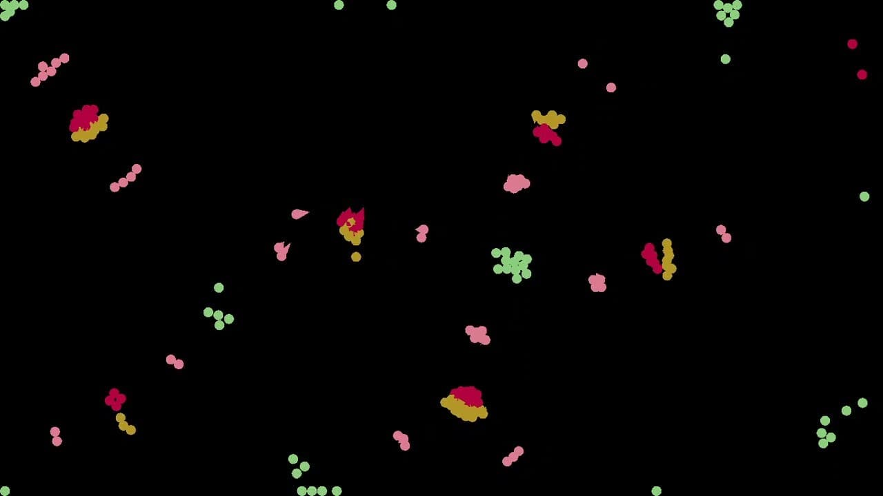 Particle Life Simulator screenshot 2