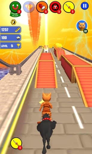 Cat Run Leo 2