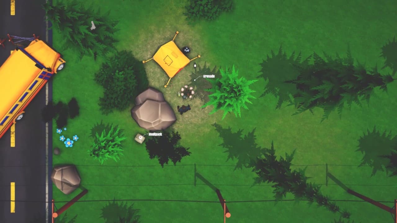 Top Down Survivor