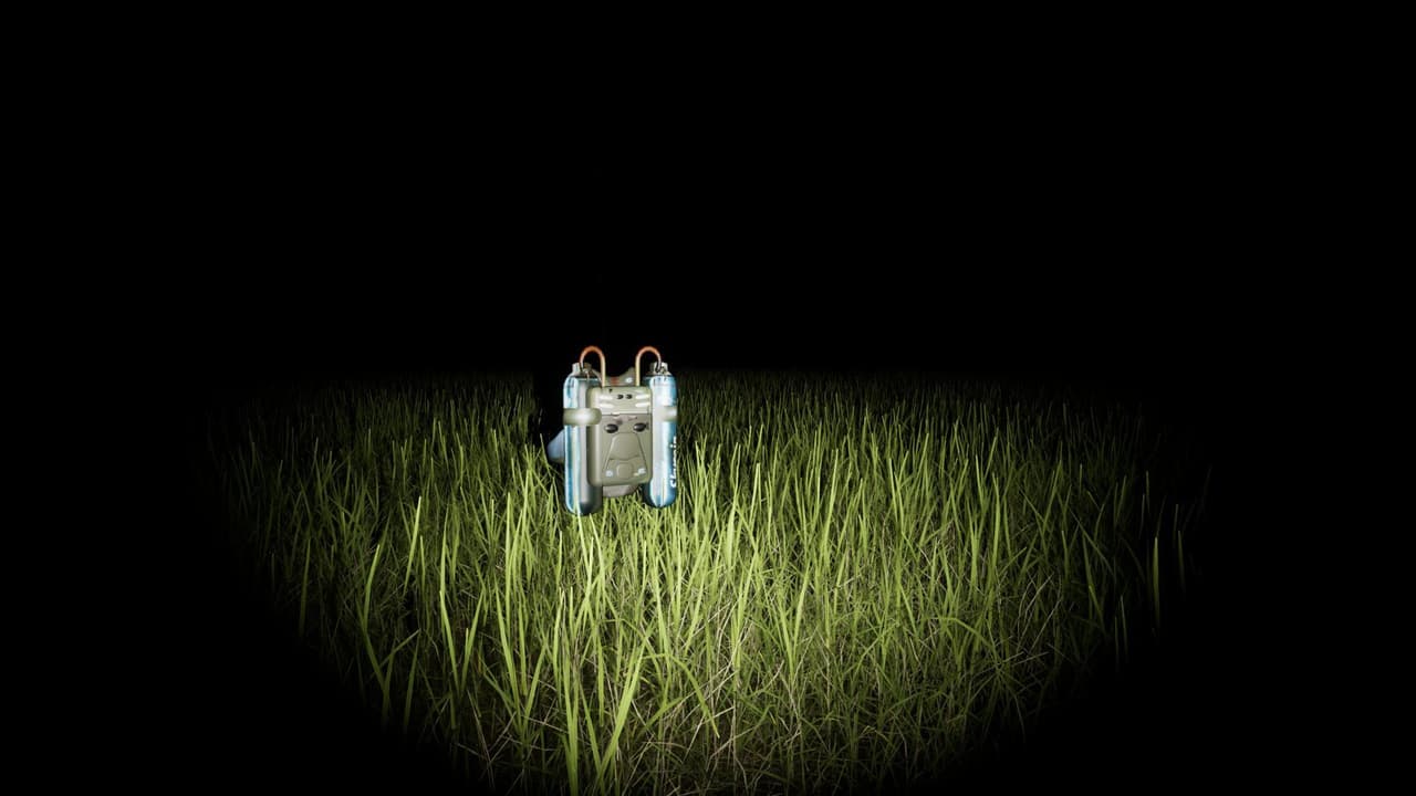Forrest of Monsters