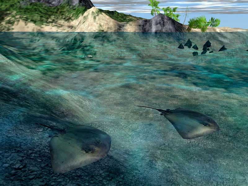 Hunter Dan Bowfishing Survival Gauntlet screenshot 2