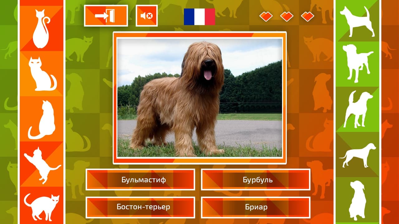 JQ: dogs & cats screenshot 5