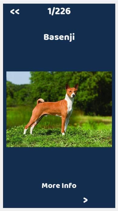 Dogs Quiz screenshot 5