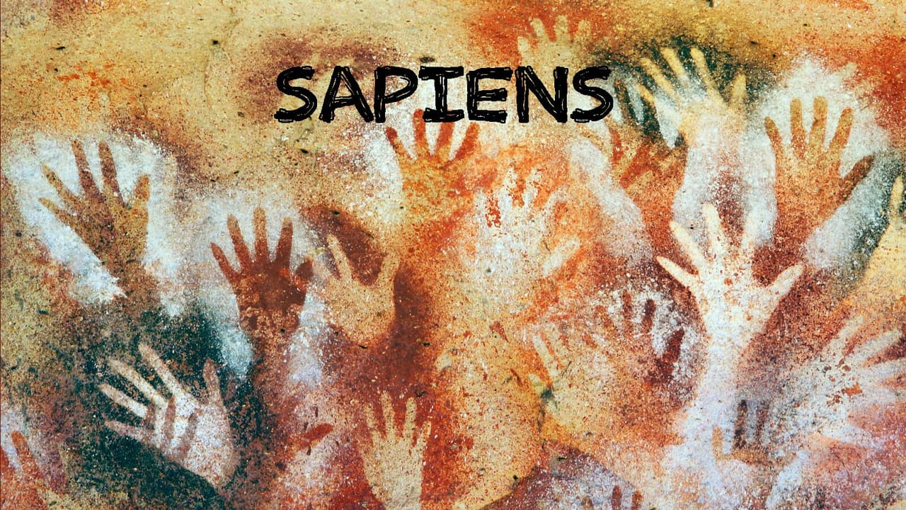 Sapiens Demo