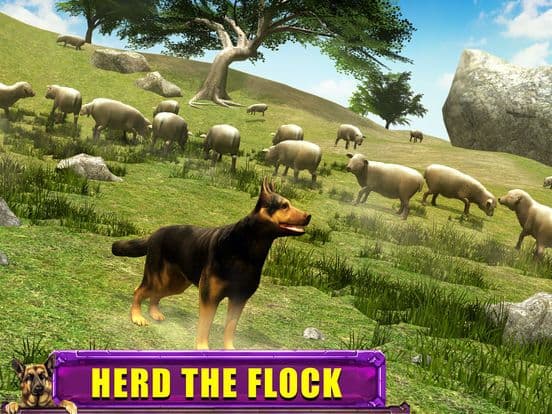Shepherd Dog Simulator 3D