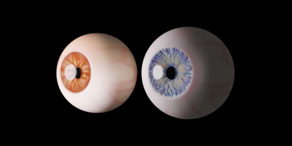Procedural Eye