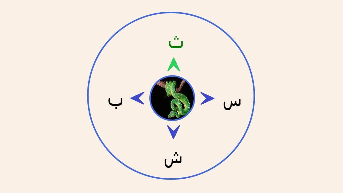 Arabic Alphabet Trainer