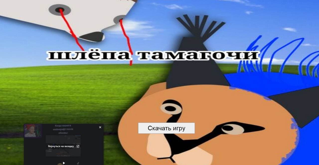 Мой шлёпа для блоп топ