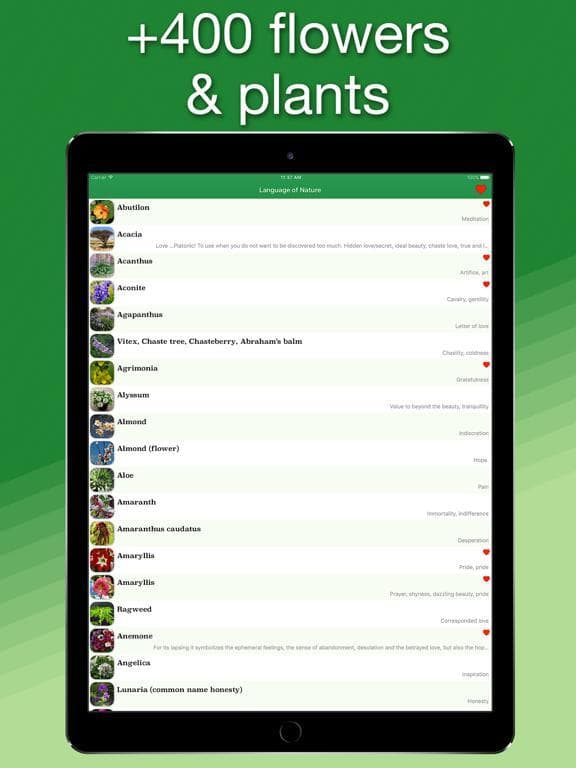 Language of Nature screenshot 2