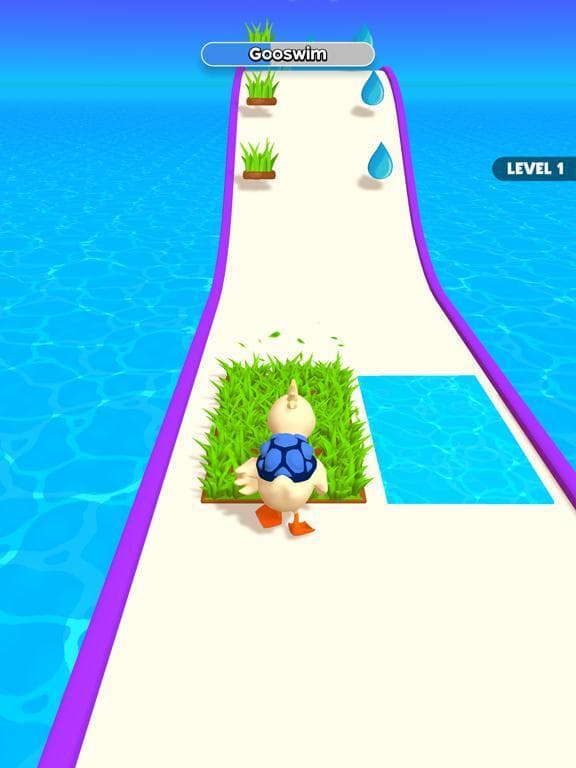 Evolving Run