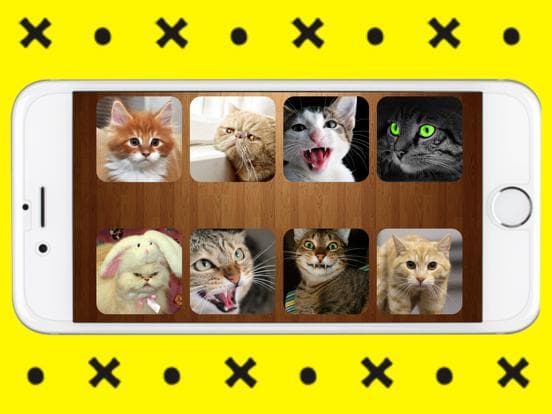 Cats Sounds Game screenshot 3