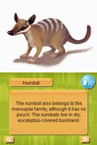 Paws & Claws Pet Vet Australian Adventures screenshot 5