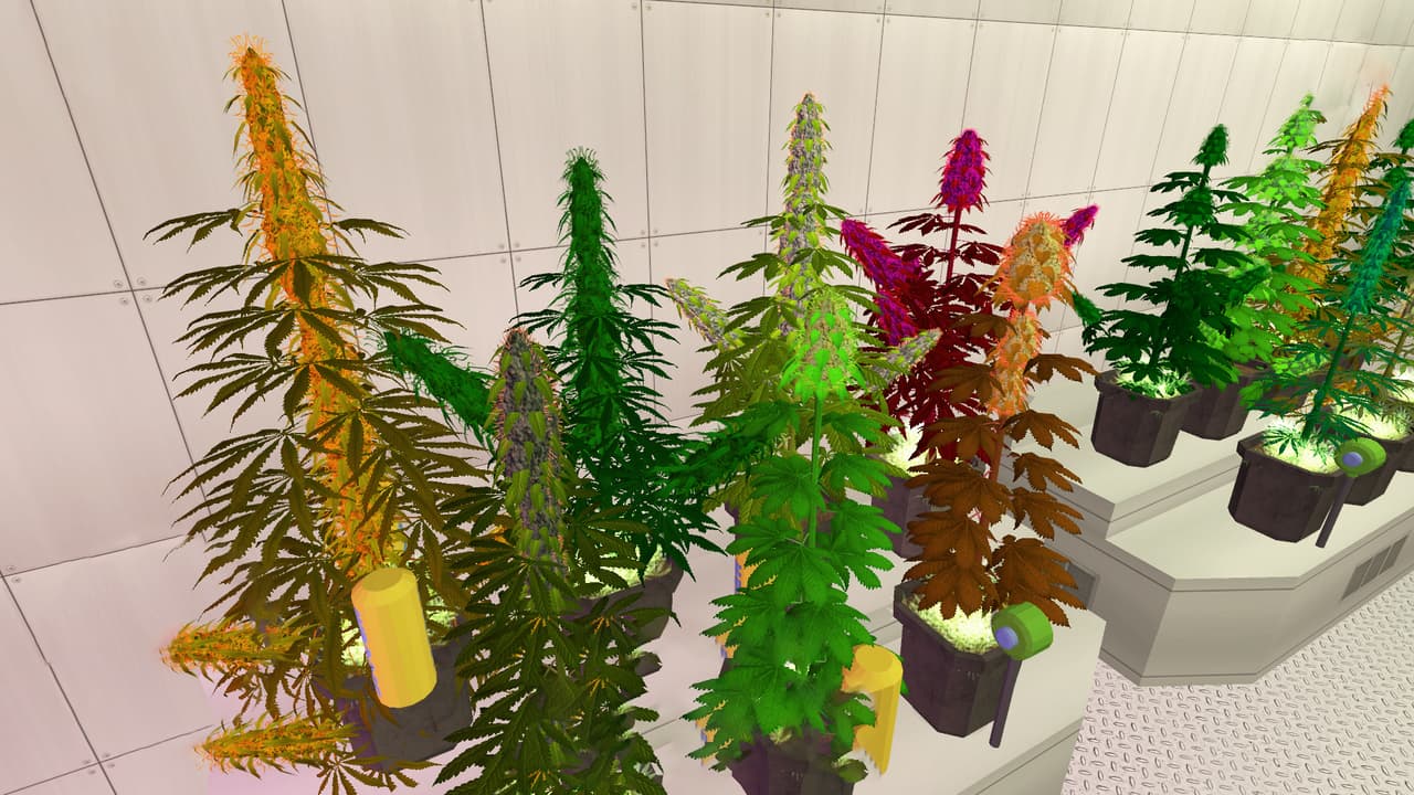 Weed Shop 2 screenshot 6