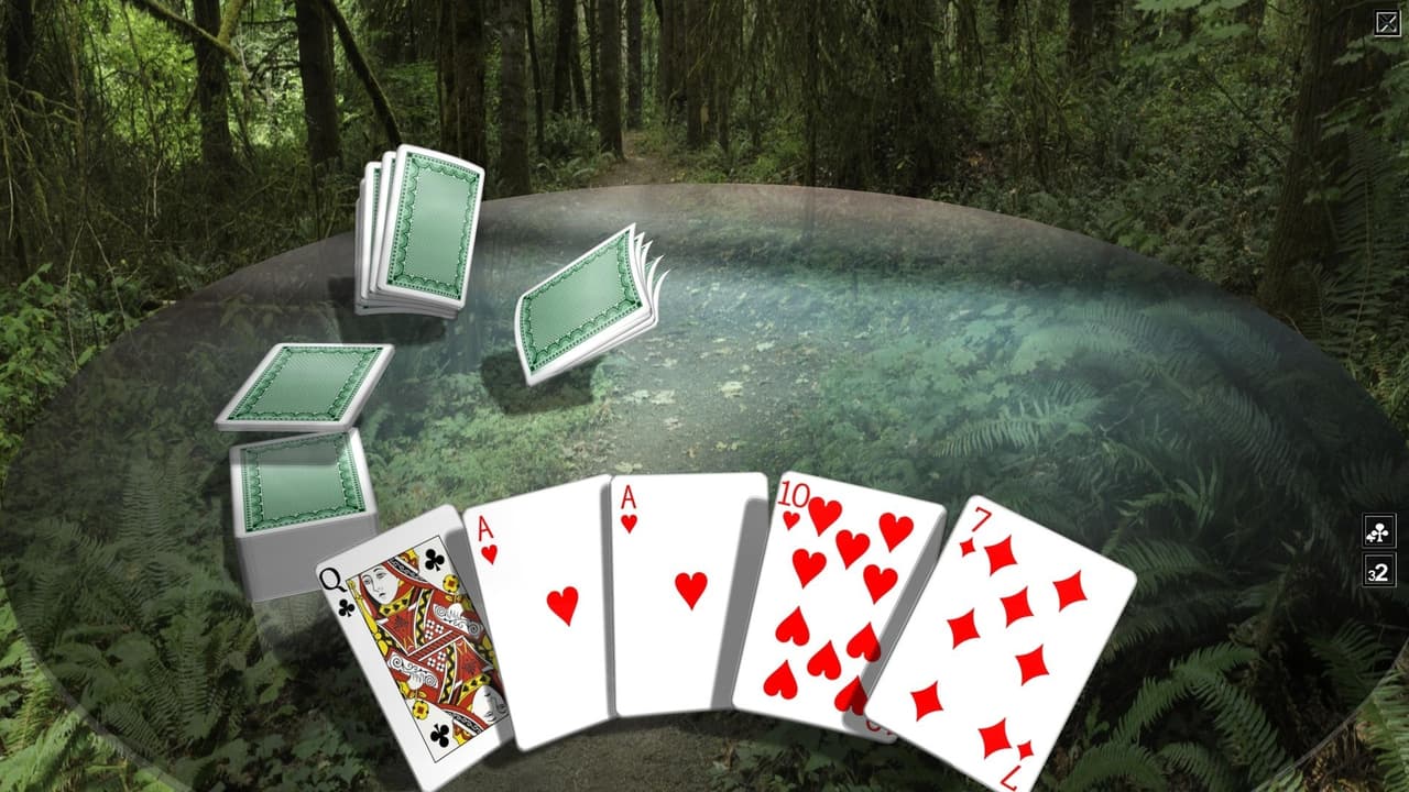 Crazy Eights 3D Premium screenshot 5