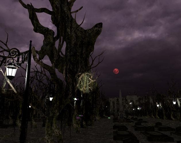 The Survivor(Graveyard)
