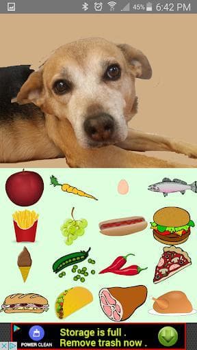 Feed the Cute Dog screenshot 4