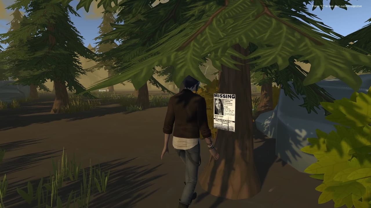 Life is Strange Fan Made