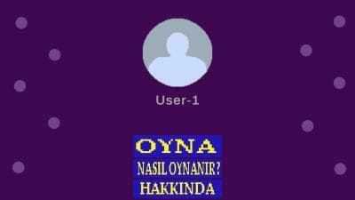 User-1 screenshot 2