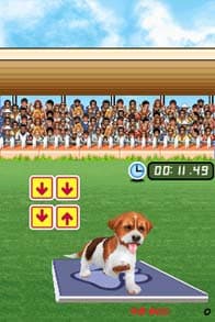 Me And My Dogs: Friends Forever screenshot 4