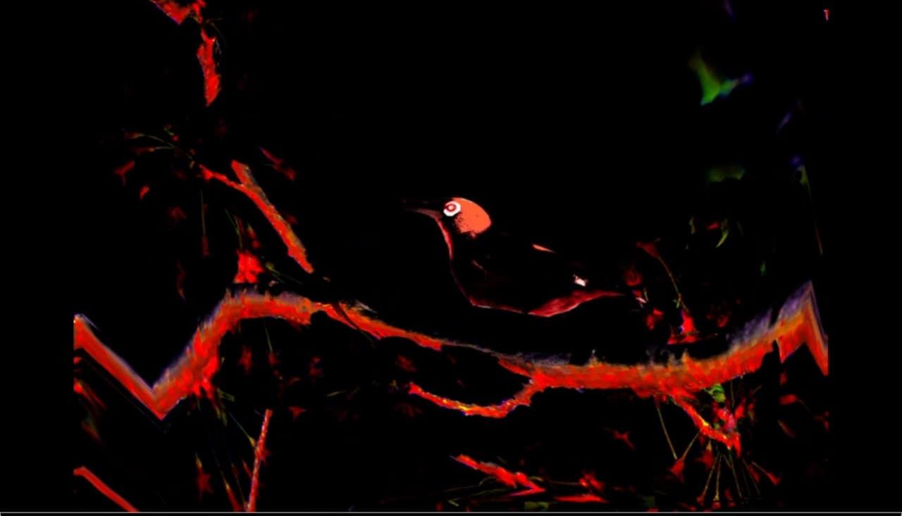 At the Dead of Night