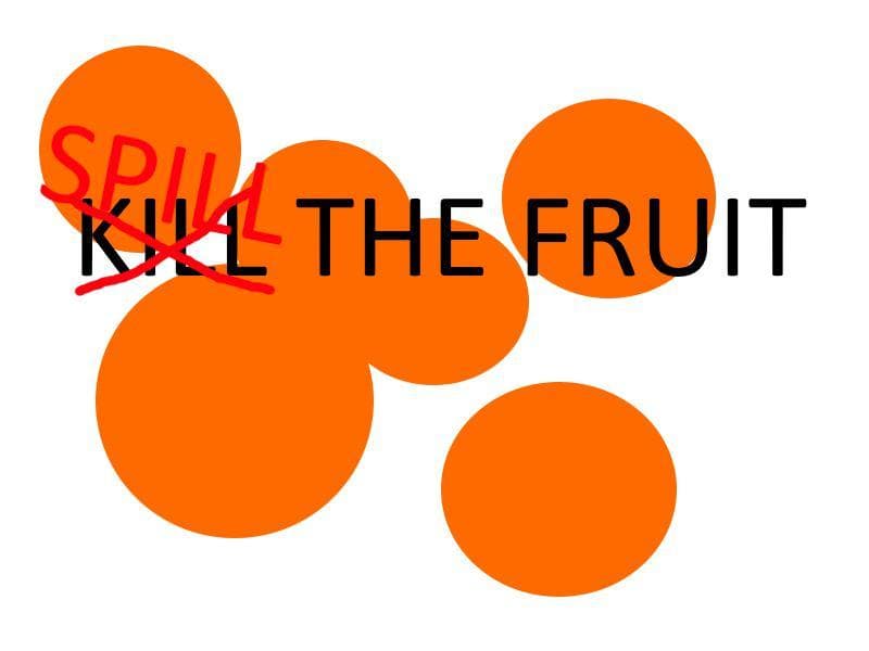 Spill The Fruit