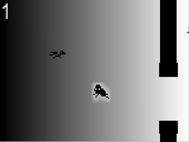 flap of the dark night