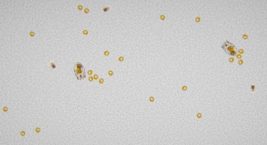 Microbiota screenshot 2