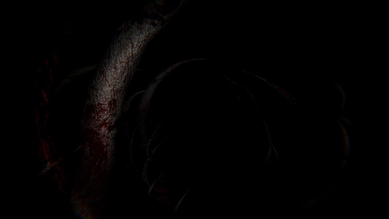 TIMORE REMAKE screenshot 5