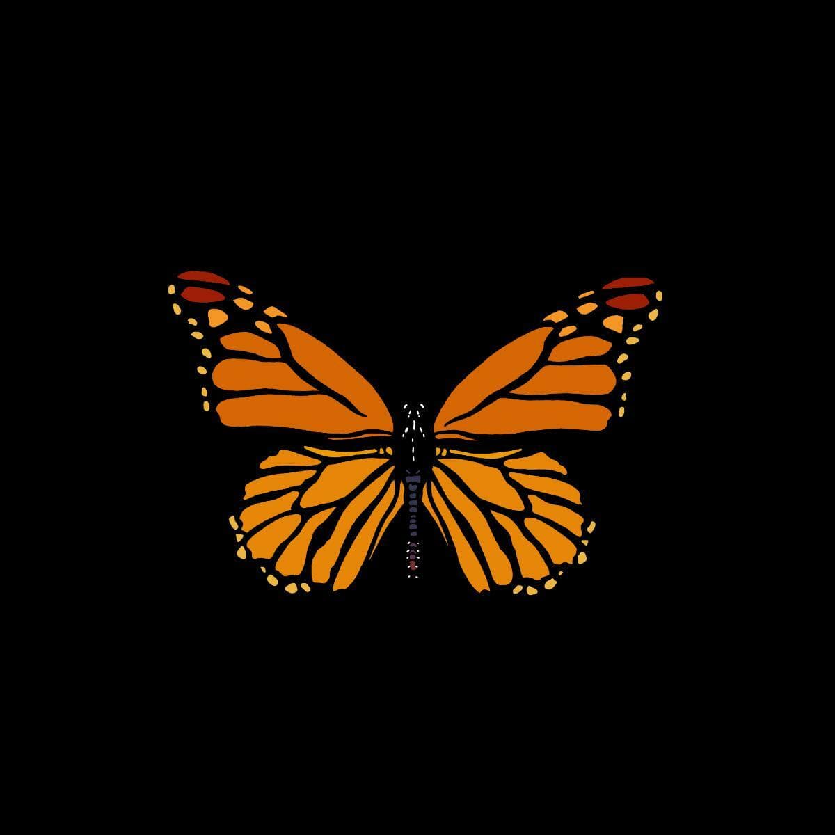 Life Of A Butterfly