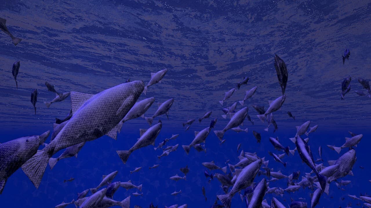 Be a Fish - VR Simulator screenshot 6