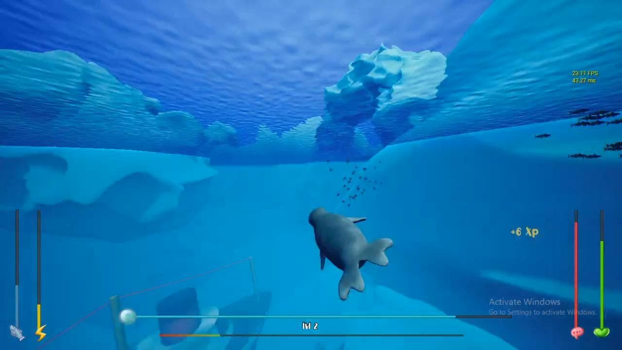 Seal Adventure